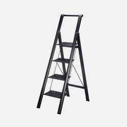 Folding Ladder