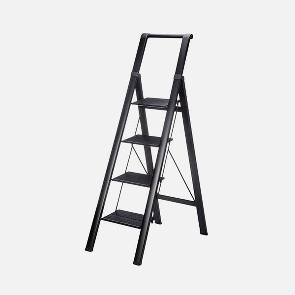 Folding Ladder