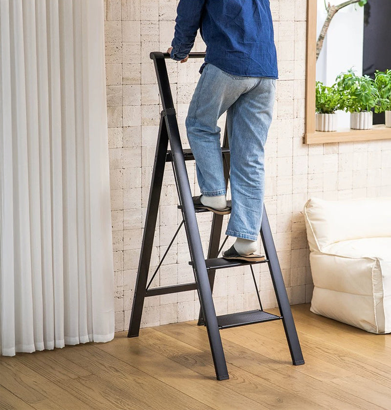 Folding Ladder