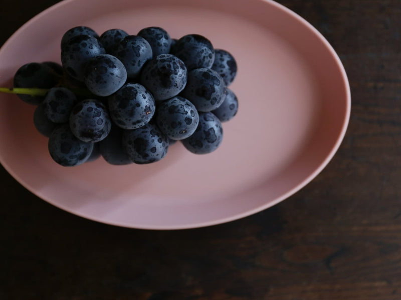 Nogakel Oval Dish