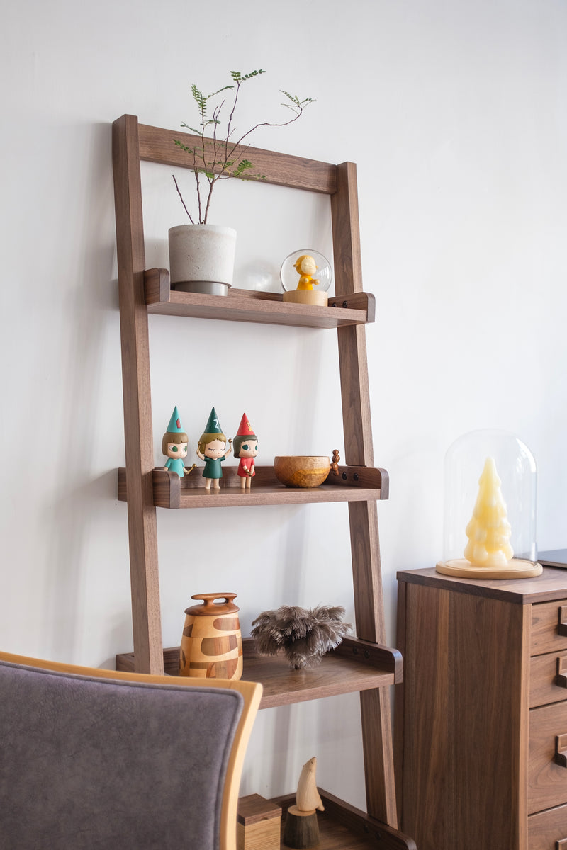 Eariy Shelf