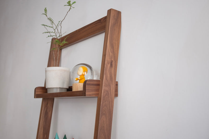 Eariy Shelf