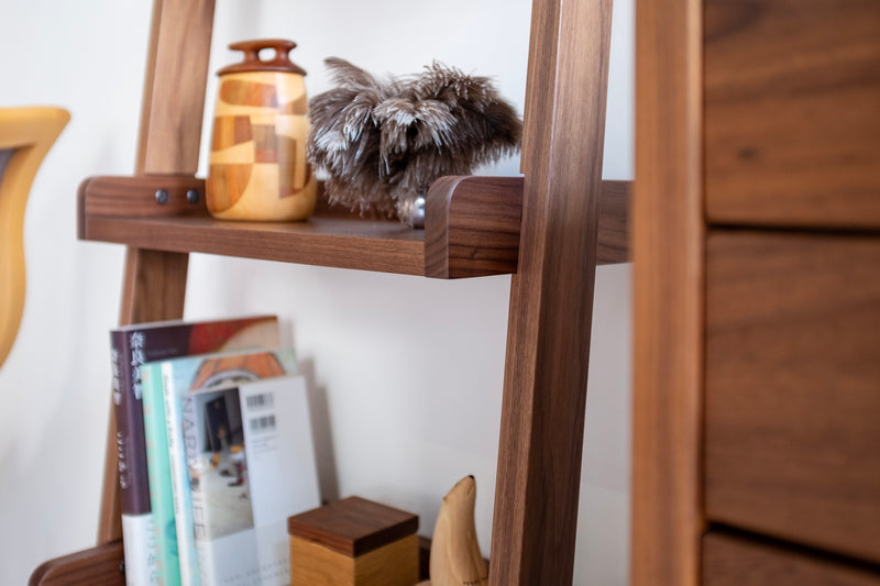 Eariy Shelf