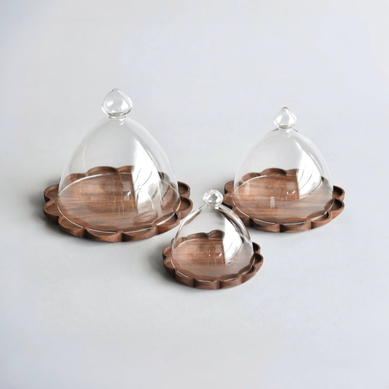 Glass Dome & Tray