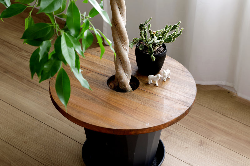 Jardin Plants Table Circle