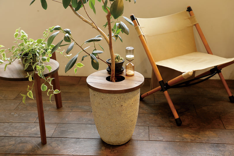 Jardin Plants Table Circle