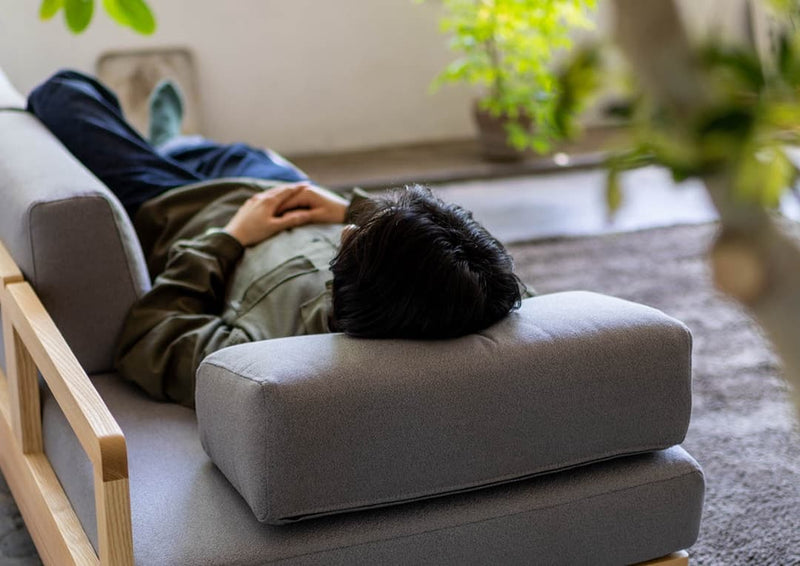 Morning Daybed Sofa
