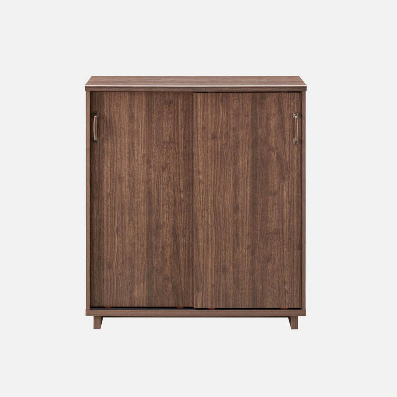 Sliding Door Shoe Cabinet