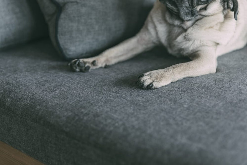 Patina Sofa