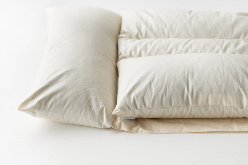 COME IN' 日本製枕頭| Kumazasa Washi Buckwheat Pillow – COME IN 